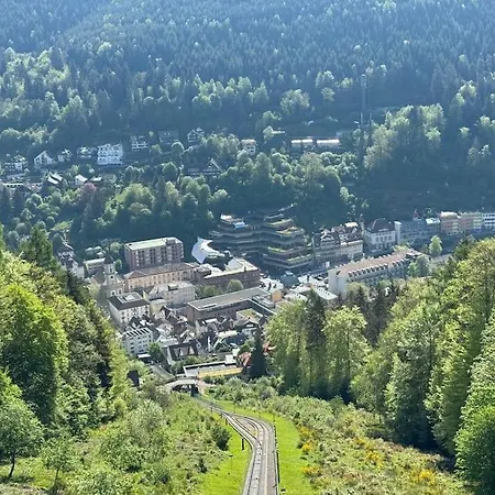 Bollenhut 1 Apartment Bad Wildbad