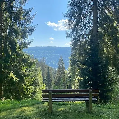 Bollenhut 1 Apartment Bad Wildbad