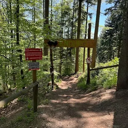 Bollenhut 1 *