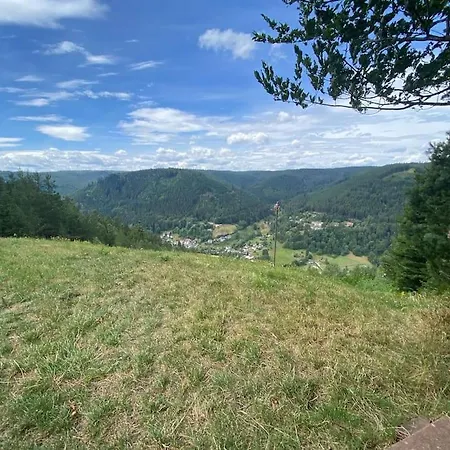 Bollenhut 1 * Bad Wildbad