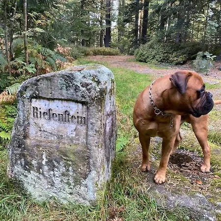 Bollenhut 1