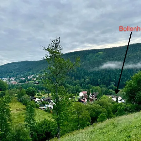 Apartment Bollenhut 1 Bad Wildbad
