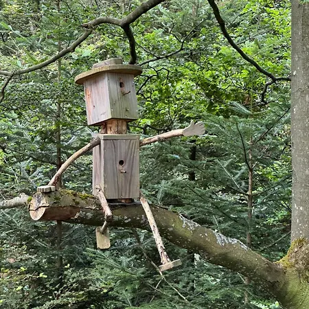 Bollenhut 1 *