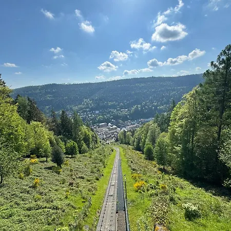 Bollenhut 1 * Bad Wildbad