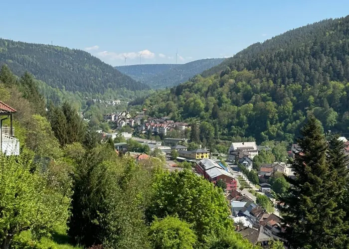 Apartment Bollenhut 1 *