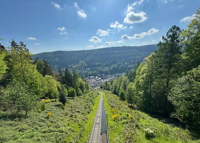 Bollenhut 1 * Bad Wildbad